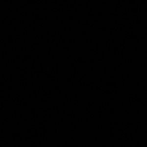 Meet your Posher, Briana